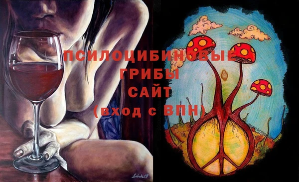 мяу мяу мука Баксан