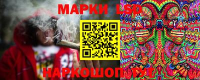 кокс Обь