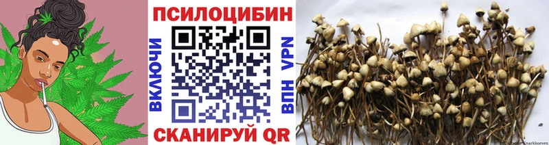 Псилоцибиновые грибы Magic Shrooms Балашов