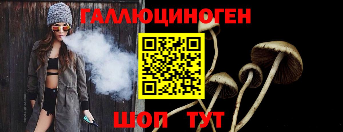 Балашов  Псилоцибиновые грибы GOLDEN TEACHER  Вход с VPN  Галлюциногенные грибы мухоморы 